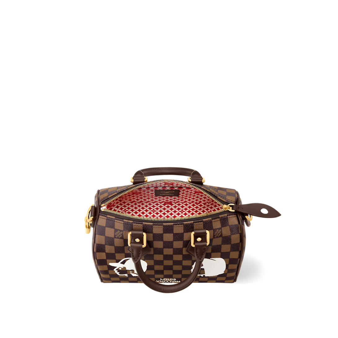 SPEEDY 25 Striped Leather Handbag